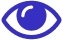Dni eye Icon