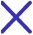Dni Close Icon